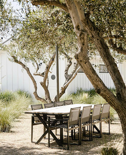 BIDDLE RANCH, California
