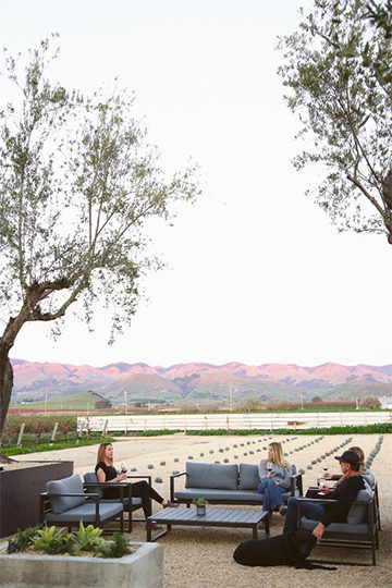 BIDDLE RANCH, California