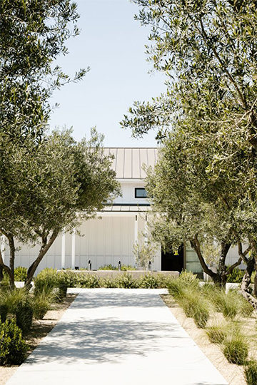 BIDDLE RANCH, California