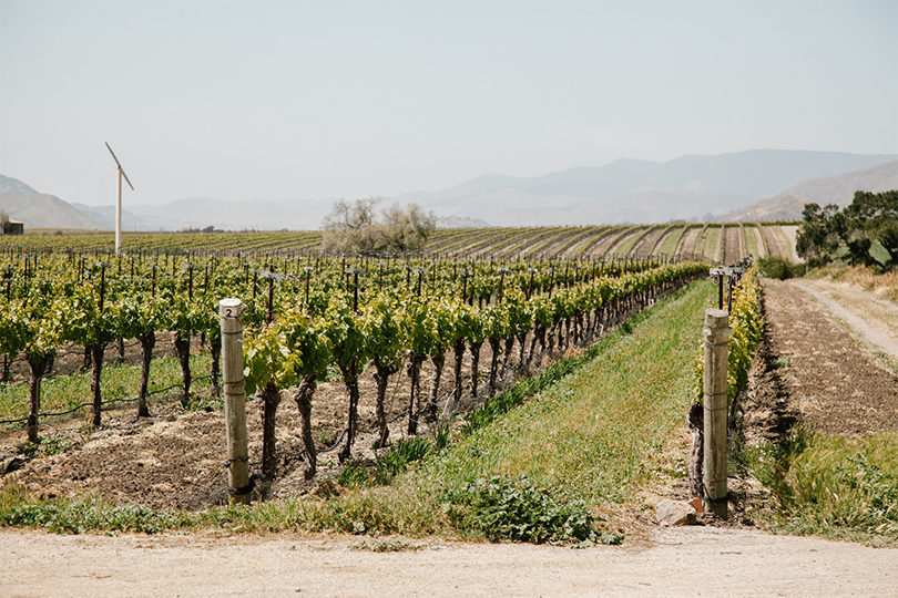 BIDDLE RANCH, California