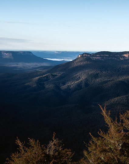 MOUNTAIN BEAUTY, Blue Mountains