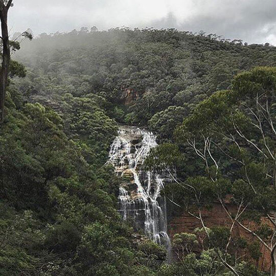 MOUNTAIN BEAUTY, Blue Mountains