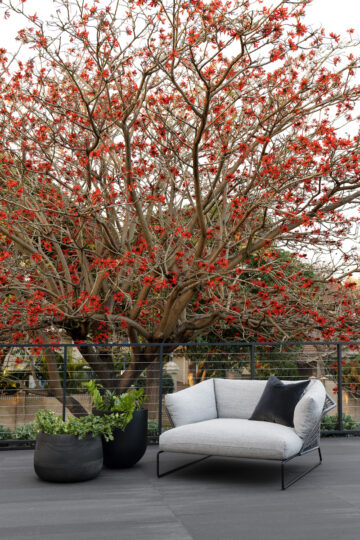 RIVERSIDE ZEN, Claremont