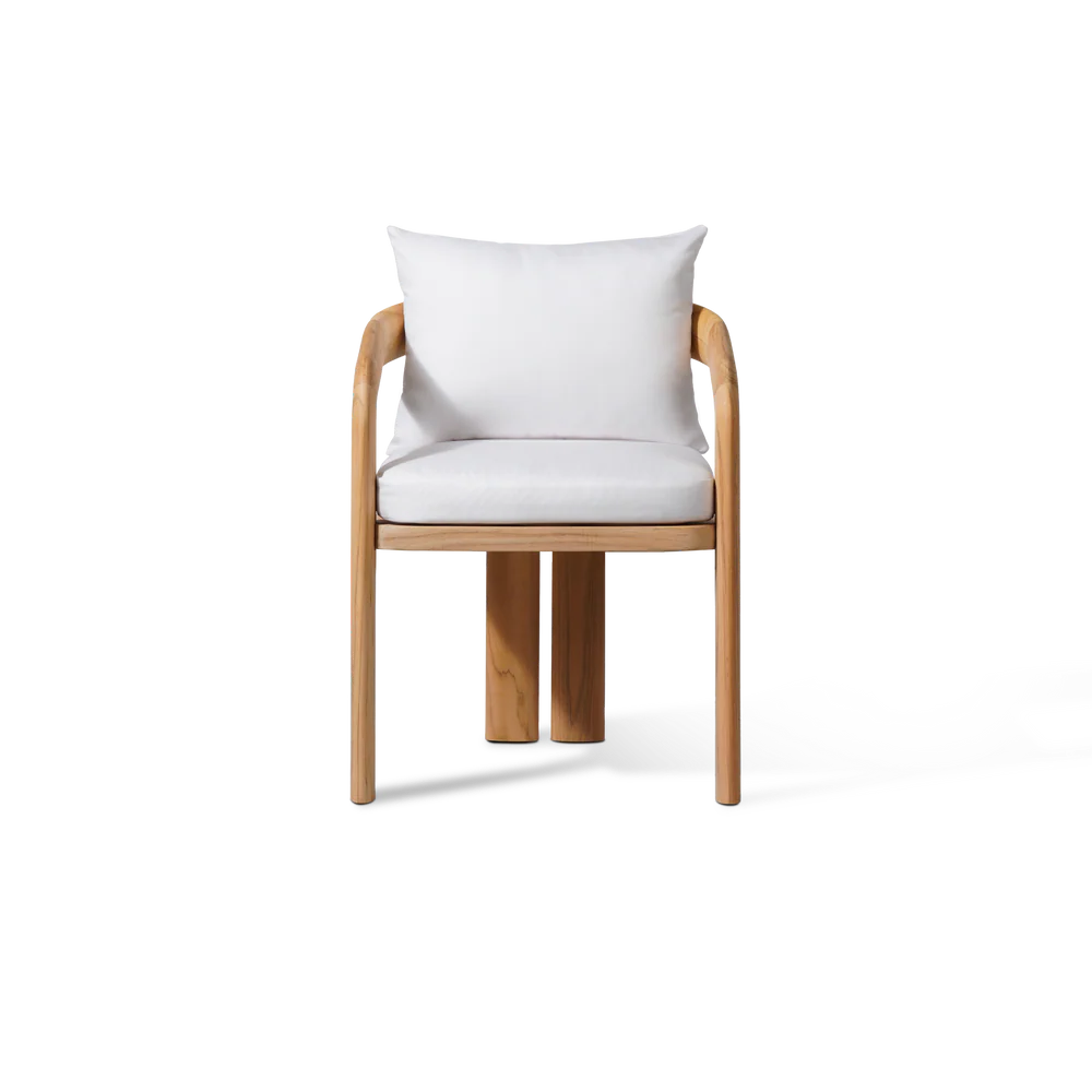 Chloe - Dining Chair / Dining Chairs