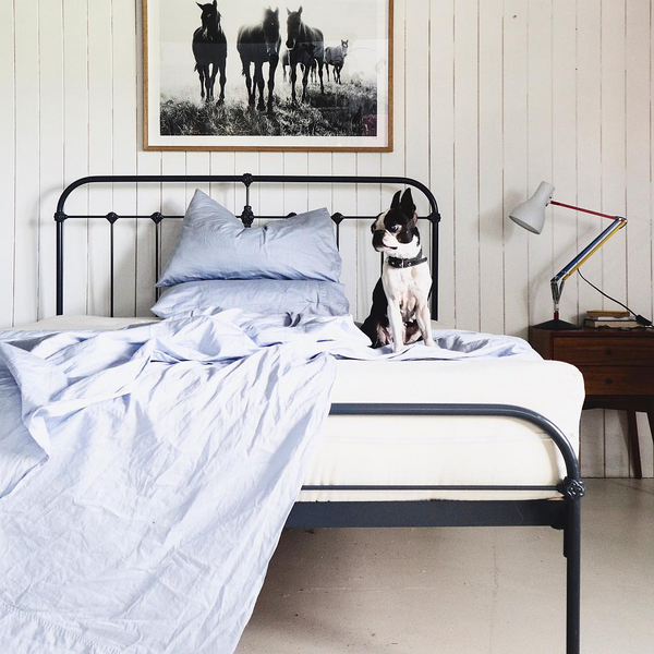 Dreamer Latex Mattress
