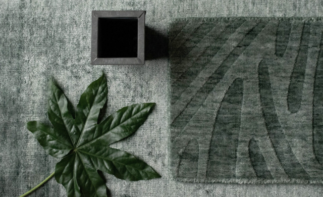 BS 08 Alga - Carpet / Carpet Edition