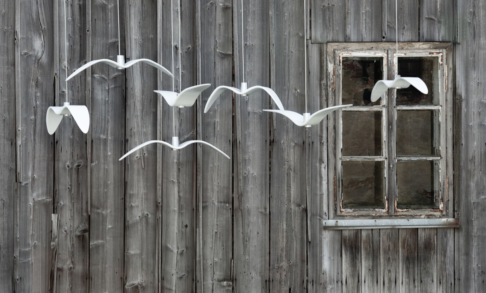 Night Birds Lamp Collection