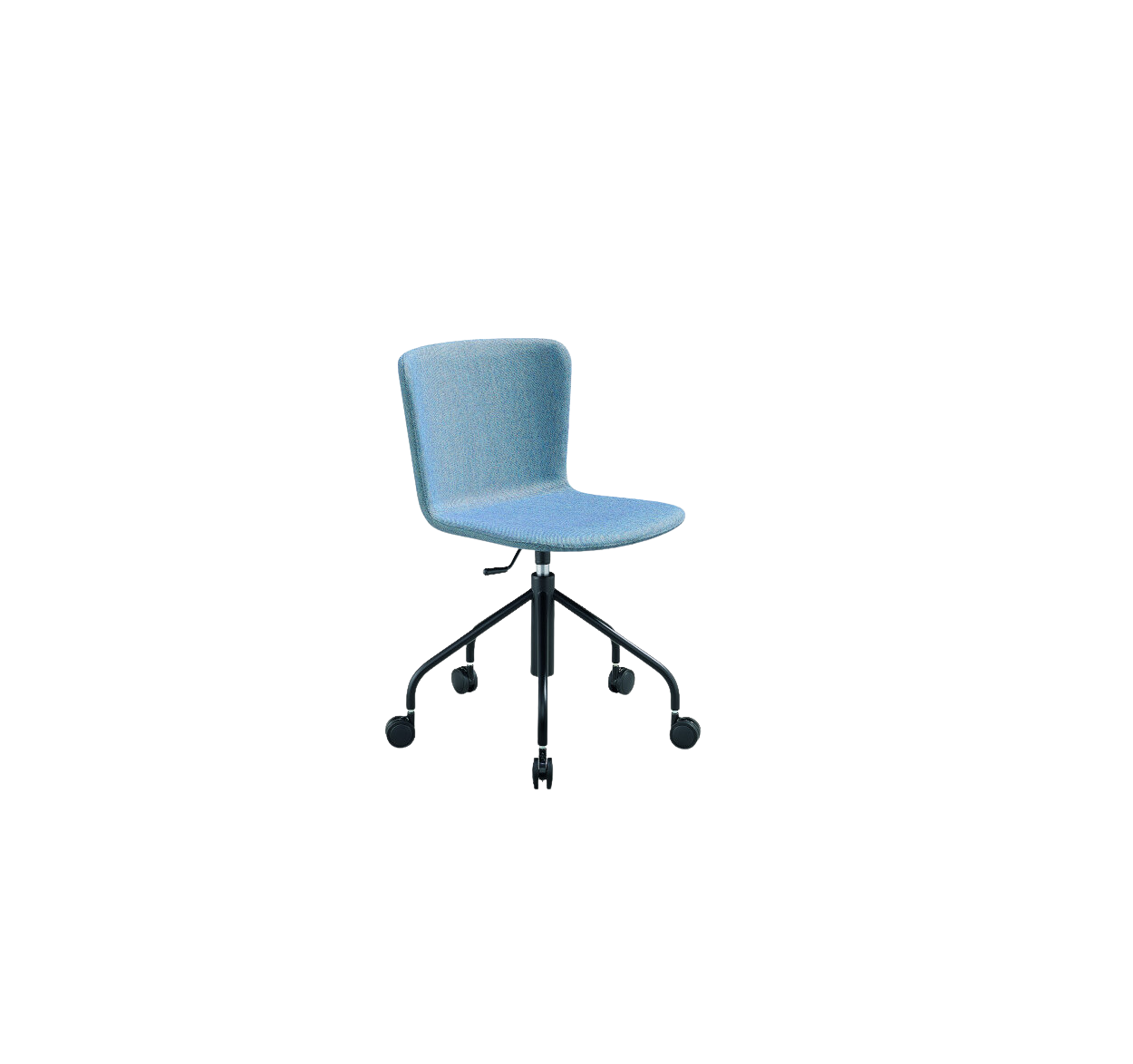 Calla - Collection / Midj