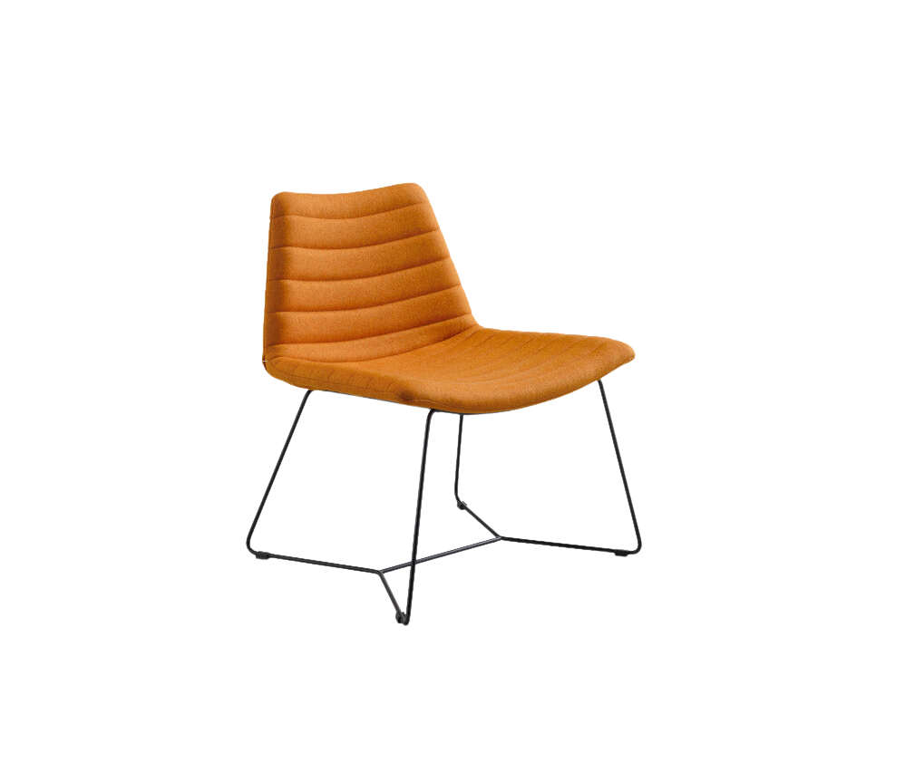 Cover - Collection / Lounge Chair