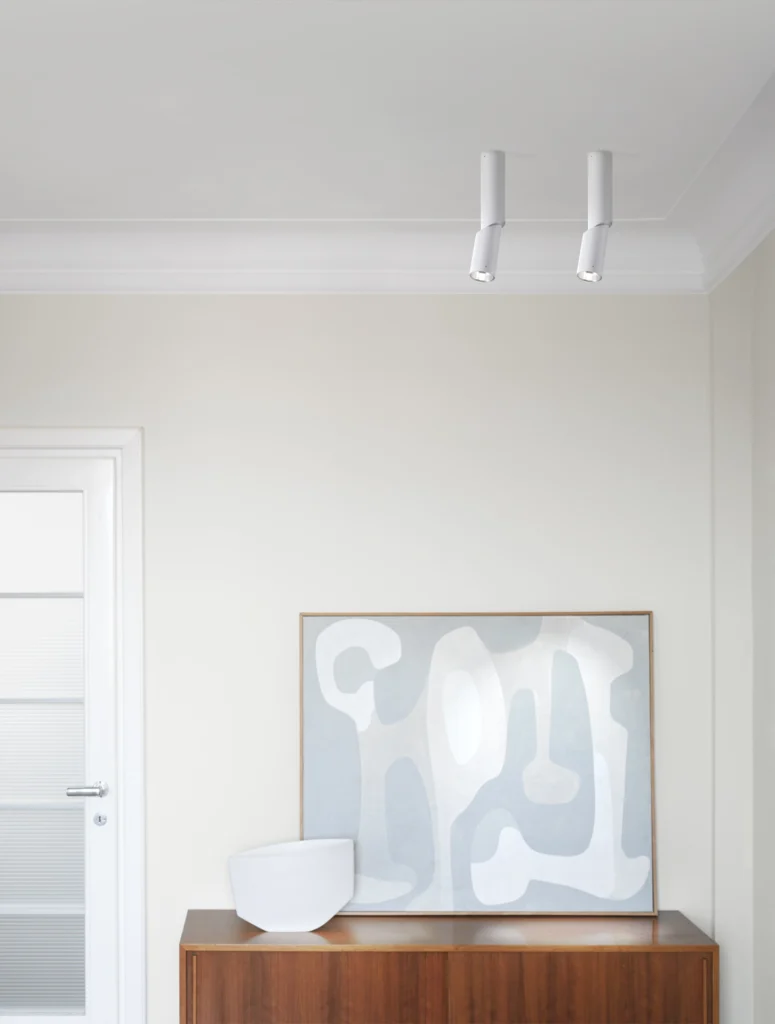 e06 Ceiling Light