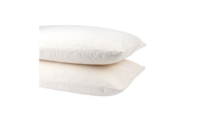 Organic Cotton Pillow - Protector / Protectors