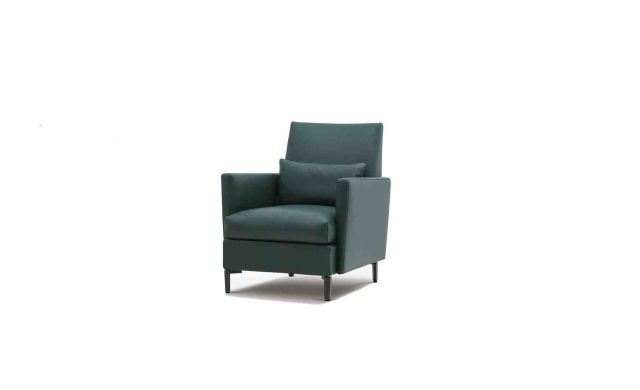Cozi - Lounge Chair / Camerich
