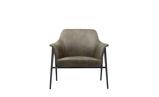 Roy - Lounge Chair / Point