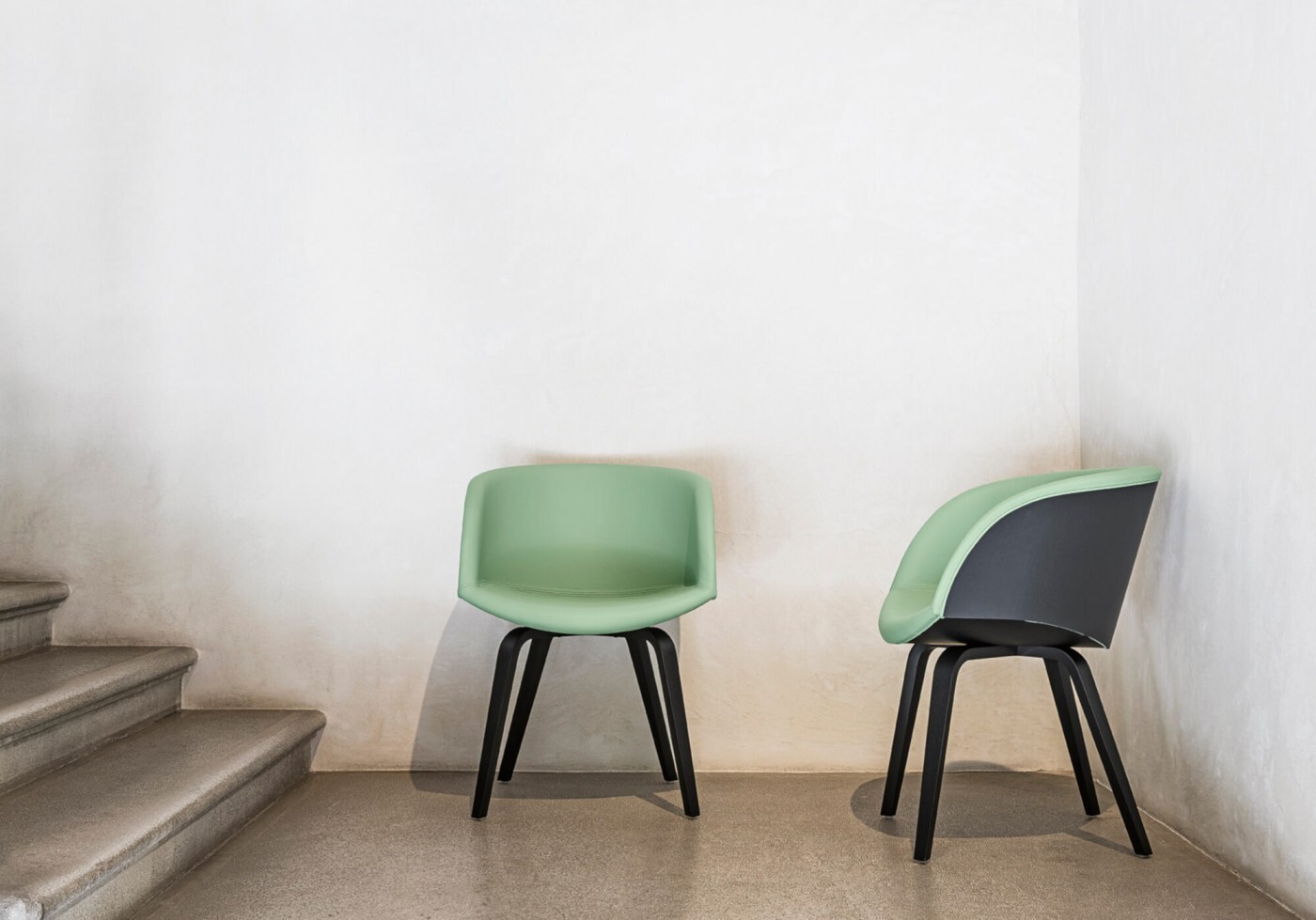 Danny - Dining Chair / Dining Chair